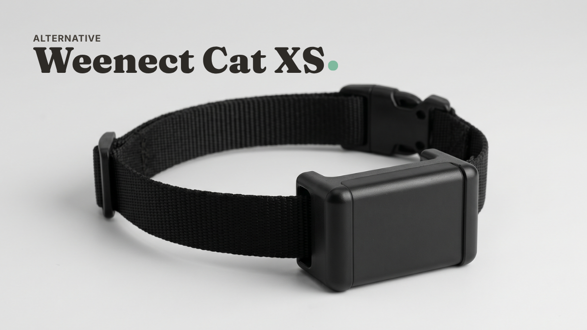 Weenect Cat XS GPS tracker — alternative to the Tractive GPS cat tracker