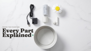 Catit Flower Fountain disassembled showing pump filter base reservoir and flower-shaped top piece
