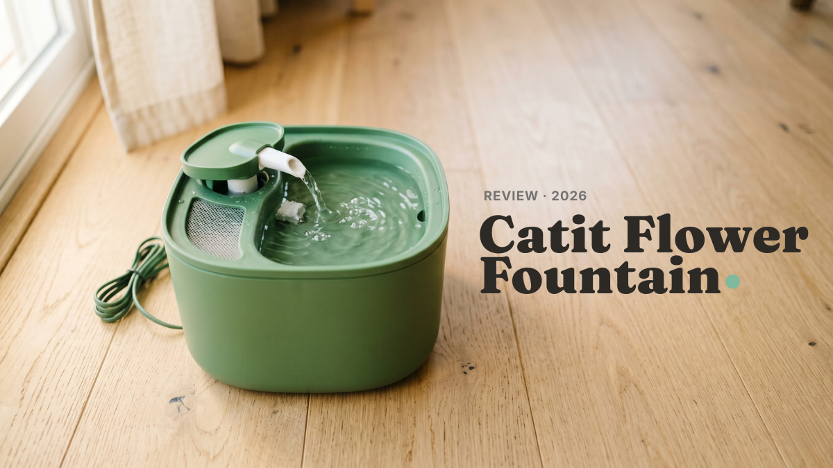 Catit Flower Fountain review 2026 showing 3L green cat water fountain with running water