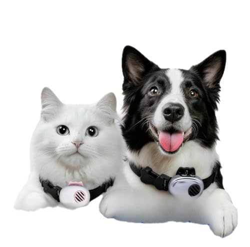AI pet translator collar product photo