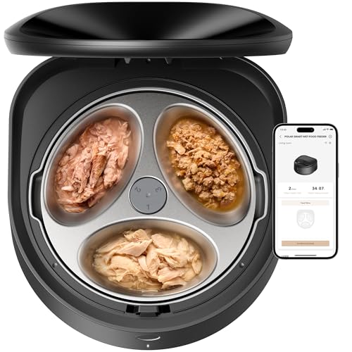 Automatic cat feeder product photo