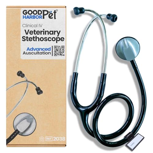 Veterinary stethoscope used during a routine pet checkup